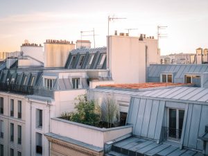 Unravelling the history behind Parisian rooftops